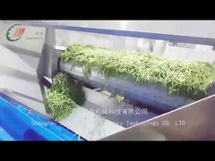 Wie produziert die Fertigungslinie Konservenbohnen?