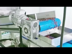 Wie produziert das Rotbohnenkonservierungssystem Rotbohnen?