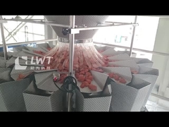 Automatische Vakuumverpackungsmaschine zur Thermoformung