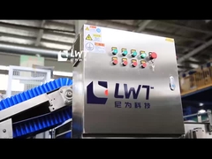 Obst-Gemüse-Blasenwaschmaschine