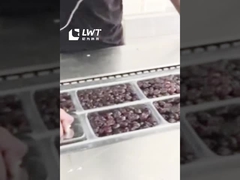 Date Packaging Produktionslinie Automatische Date Stretch Film Vakuum Verpackungsmaschine