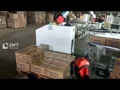 Robot Palletizer für Kartonschachteln Palletizing Robot Palletizing System Move Robot