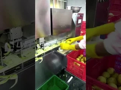 Leadworld Fruchtkonservenproduktion Konservenbirnenverarbeitungslinie