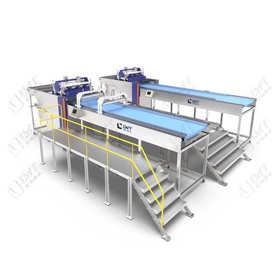 Automatischer Korb-Lader/Entlader für Retortensterilisationssysteme