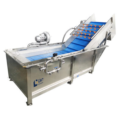 Obst-Gemüse-Blasenwaschmaschine