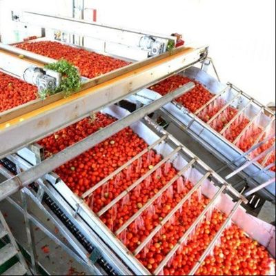 Multifunktionale Produktionslinie für Konserven von Tomaten von Leadworld Industrial
